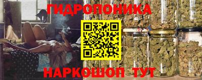 PSILOCYBIN Малоярославец