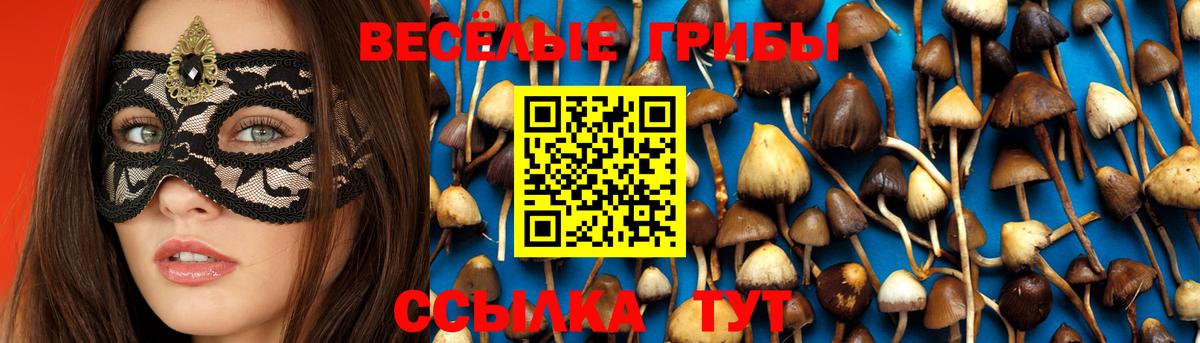 Горно-Алтайск  Псилоцибиновые грибы Magic Shrooms  Вход с VPN 